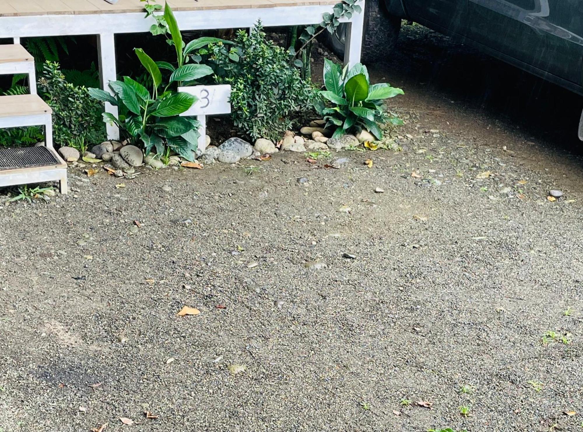 Puerto Viejo de Talamanca Casa Luce Bed & Breakfast エクステリア 写真