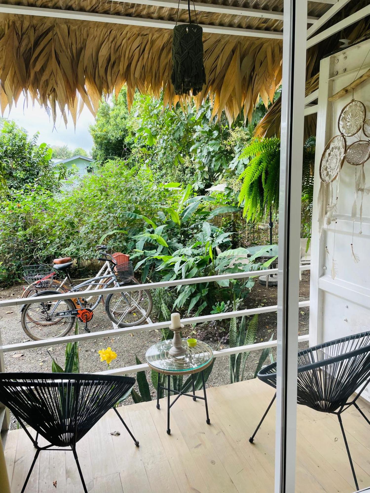Puerto Viejo de Talamanca Casa Luce Bed & Breakfast エクステリア 写真