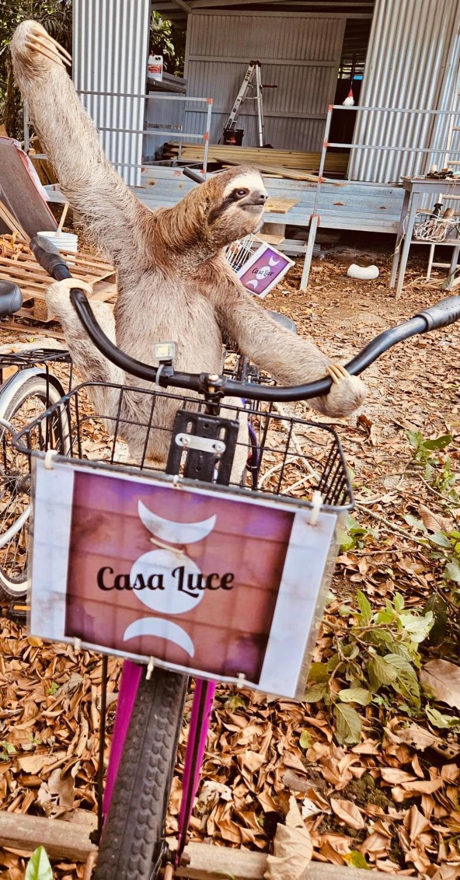 Puerto Viejo de Talamanca Casa Luce Bed & Breakfast エクステリア 写真