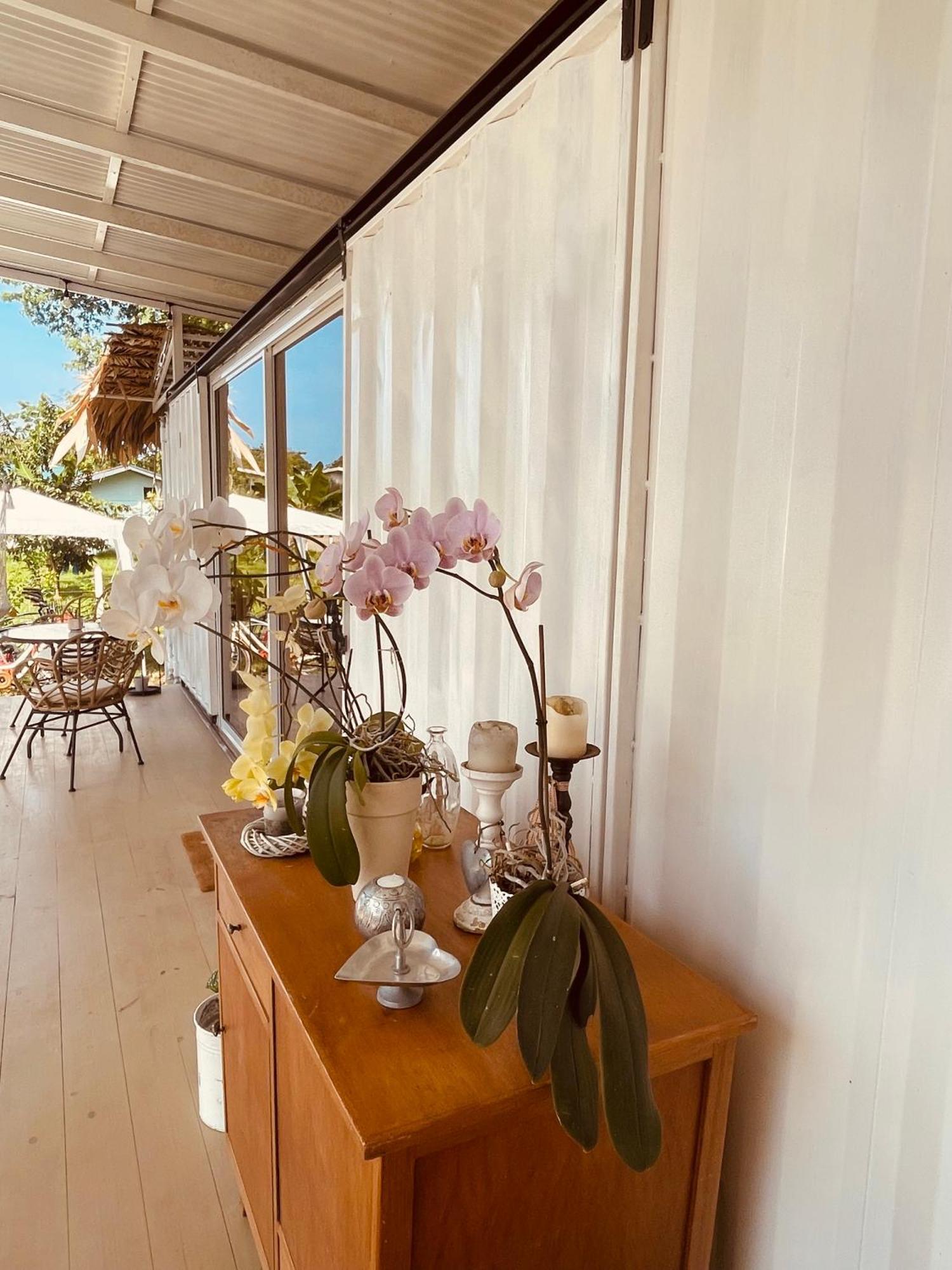 Puerto Viejo de Talamanca Casa Luce Bed & Breakfast エクステリア 写真