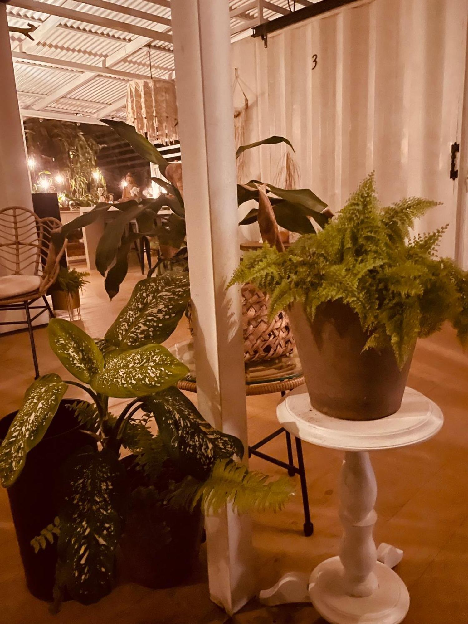 Puerto Viejo de Talamanca Casa Luce Bed & Breakfast エクステリア 写真