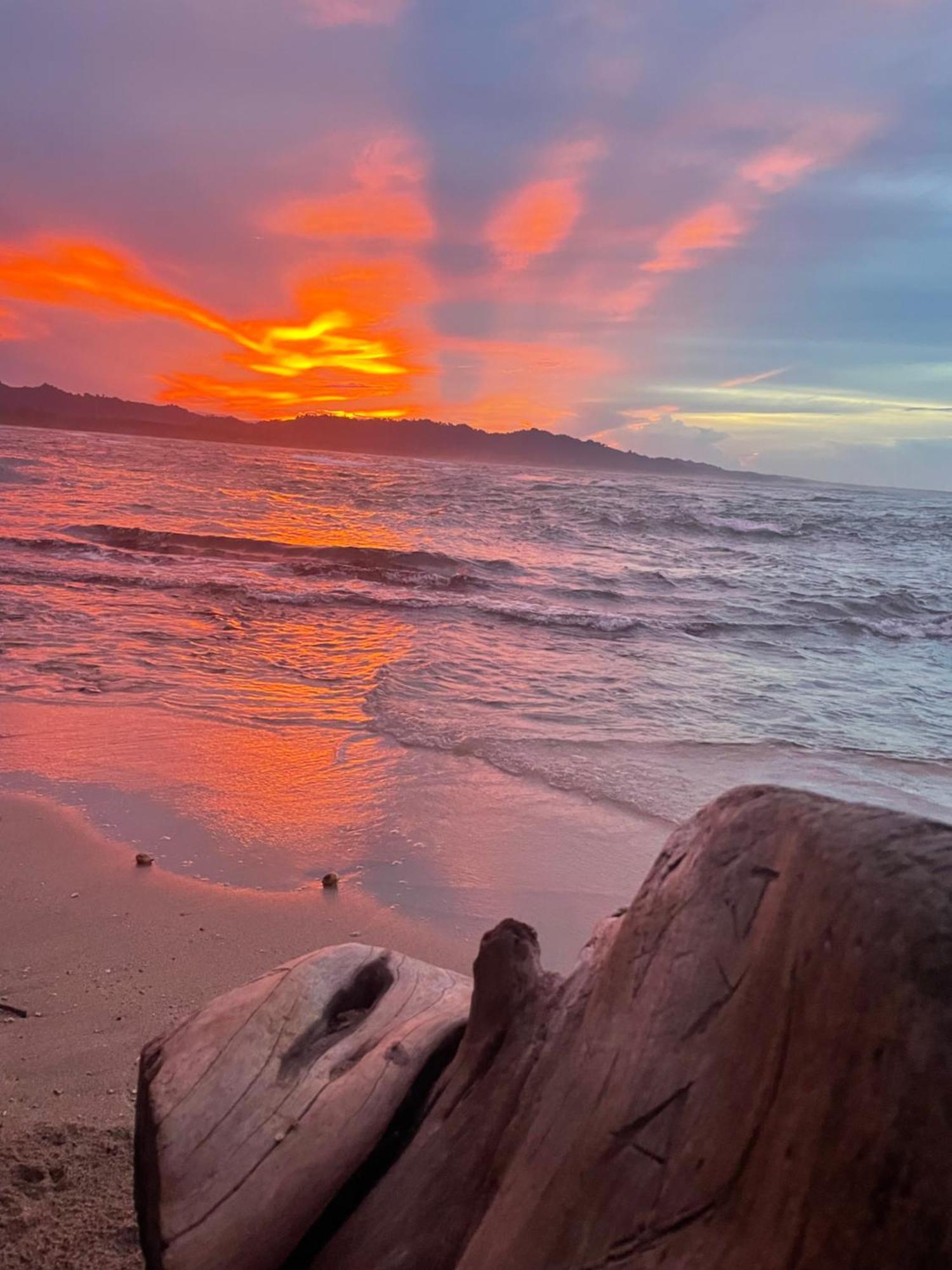 Puerto Viejo de Talamanca Casa Luce Bed & Breakfast エクステリア 写真