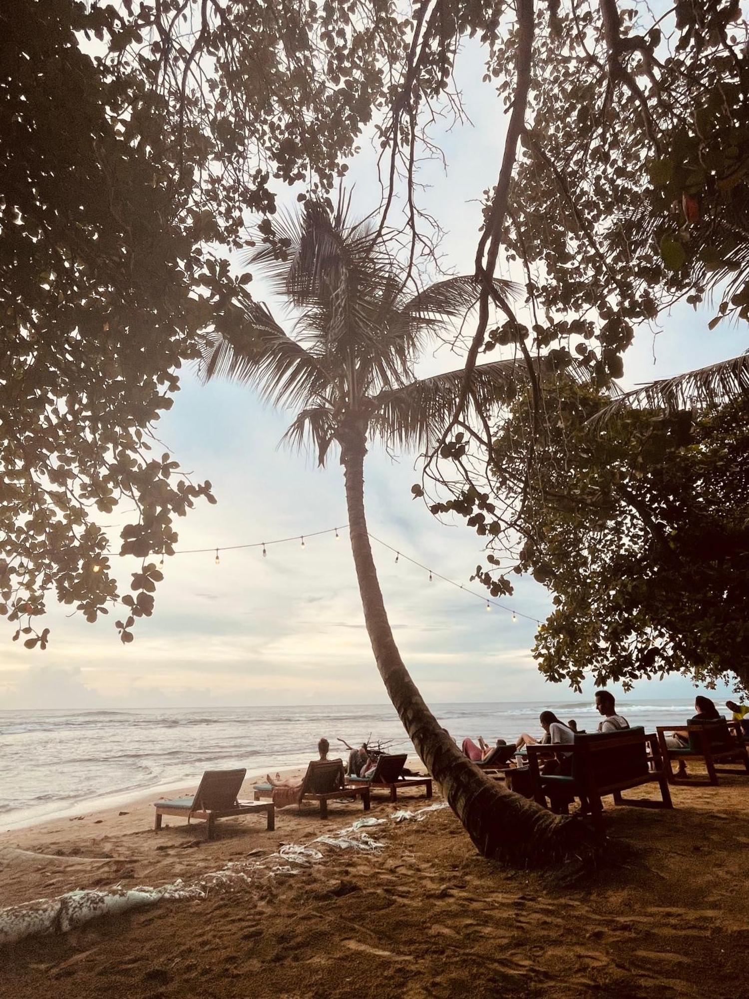 Puerto Viejo de Talamanca Casa Luce Bed & Breakfast エクステリア 写真