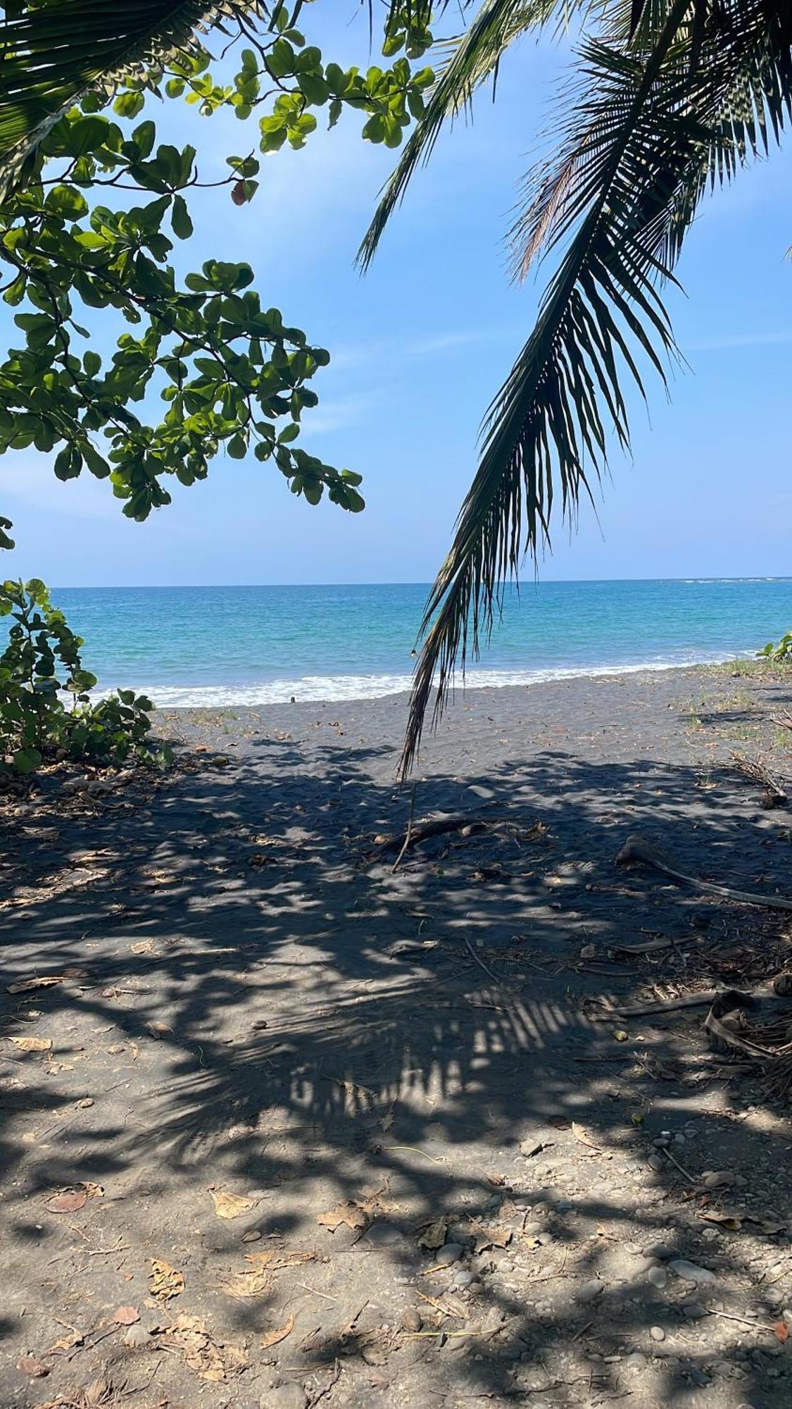 Puerto Viejo de Talamanca Casa Luce Bed & Breakfast エクステリア 写真