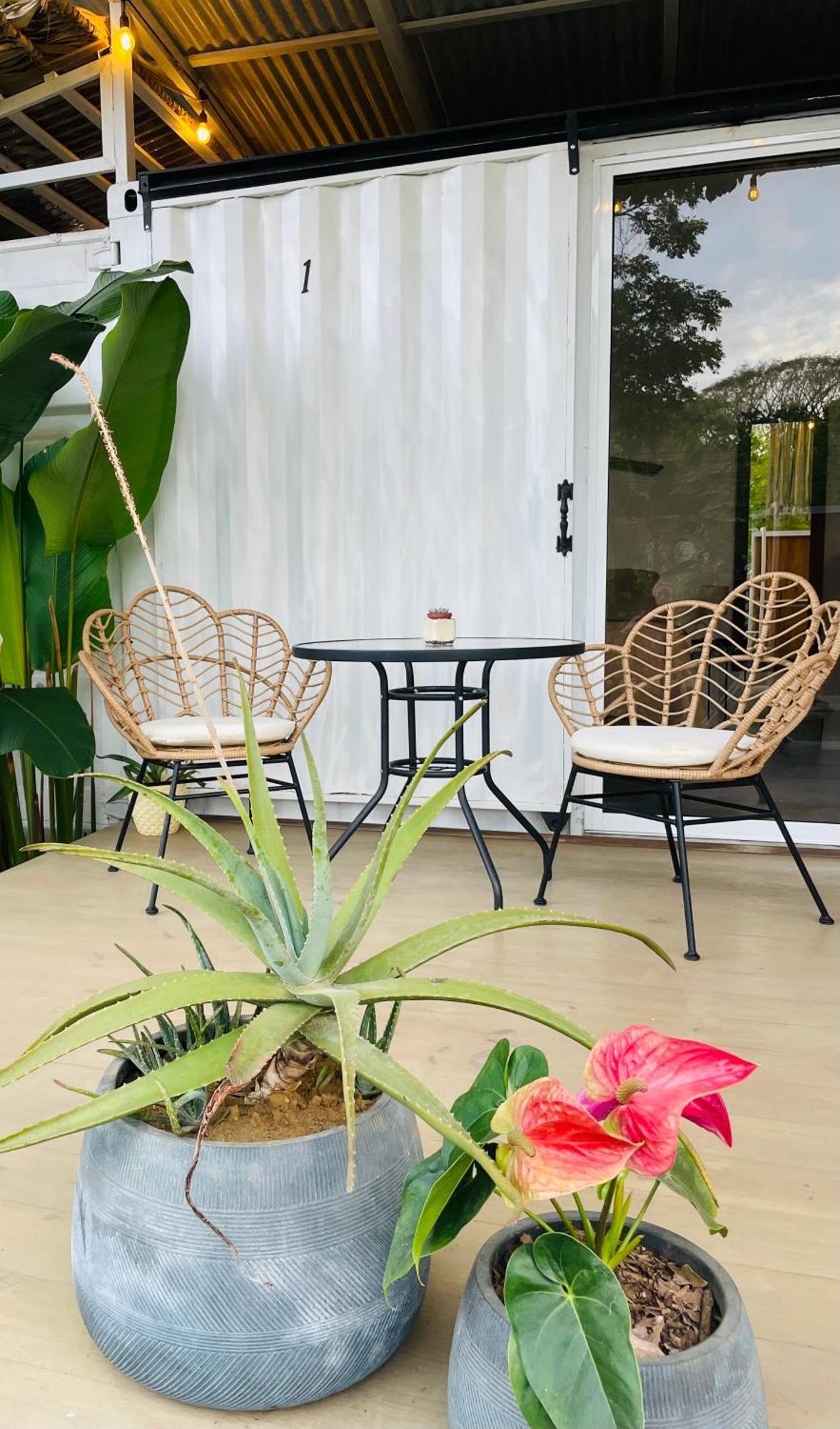 Puerto Viejo de Talamanca Casa Luce Bed & Breakfast エクステリア 写真