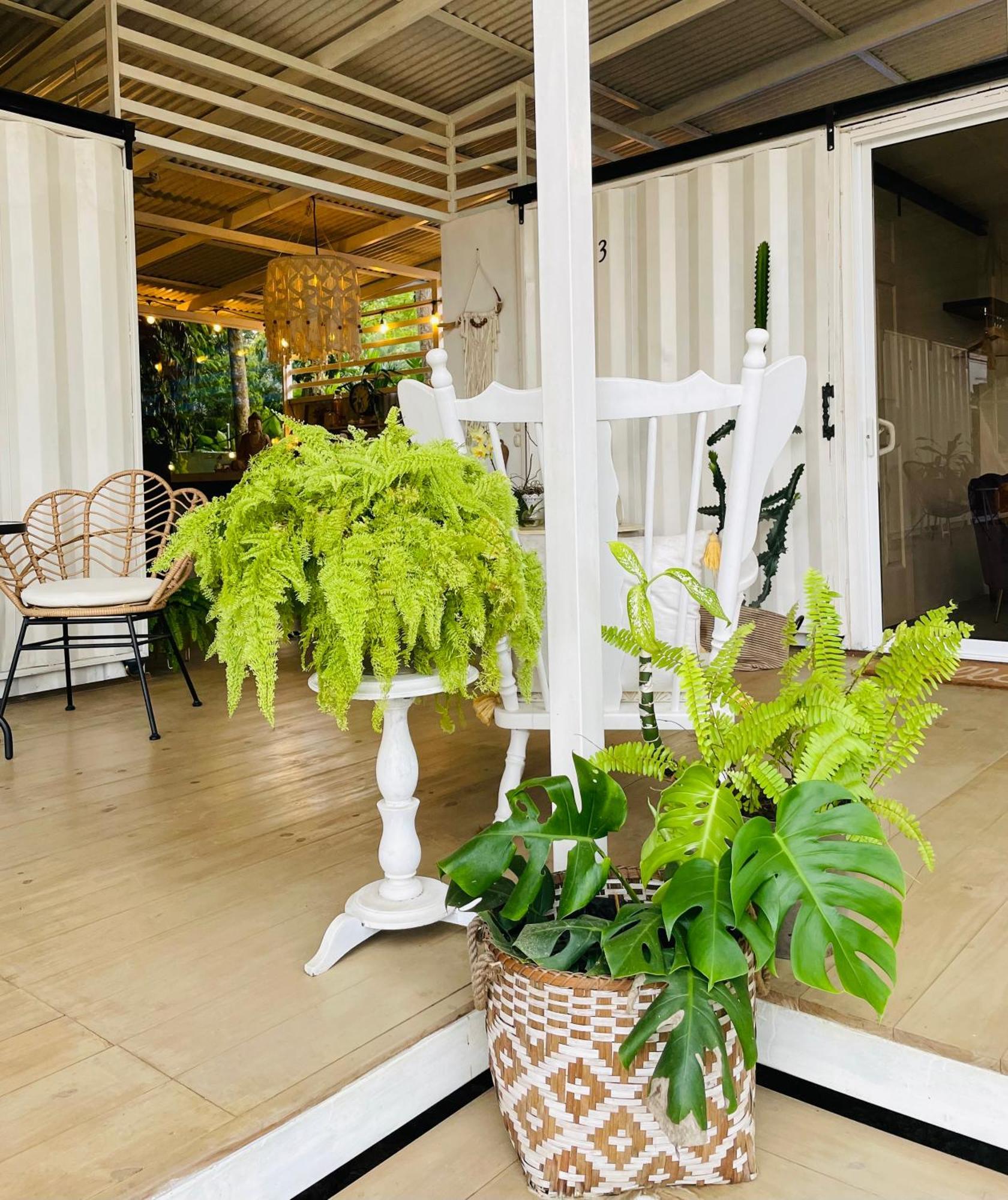 Puerto Viejo de Talamanca Casa Luce Bed & Breakfast エクステリア 写真